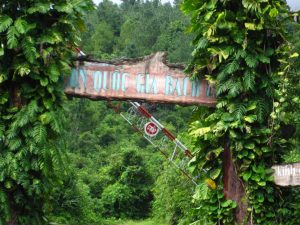 vuon-quoc-gia-bach-ma-hue