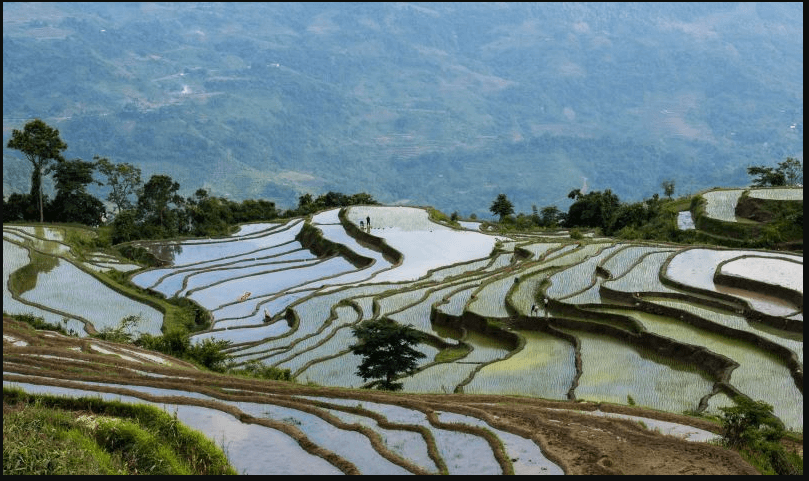 Ruộng bậc thang Hồng Thái - địa điểm chụp ảnh đẹp ở Tuyên Quang