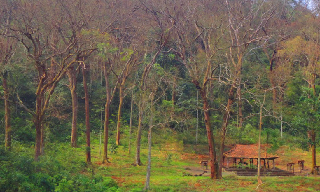 Đình làng Đá Húc nằm nay phía bì rừng lim xanh