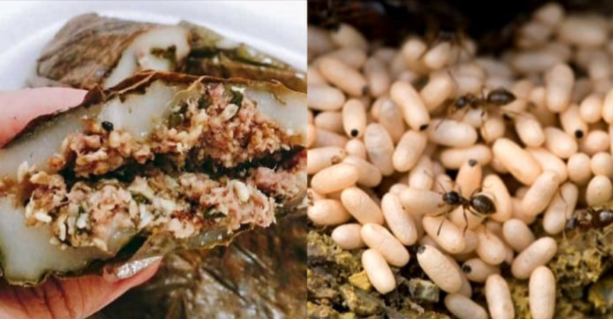 Du lịch Cao Bằng - vào tháng 3, tháng 4 thì bạn có thể thưởng thức món bánh trứng kiến