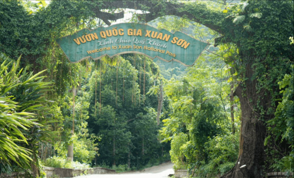 Vườn Quốc Gia Xuân Sơn - Báu vật trời ban cho du lịch Phú Thọ
