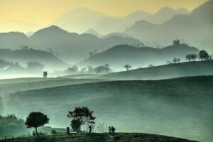 TOP 10 Địa Điểm Du Lịch Sơn La Nổi Tiếng Nhất 2021 3 doi che moc chau trai khap cao nguyen 420 2 1