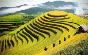 TOP 10 địa điểm du lịch Yên Bái hấp dẫn nhất 2021 7 du lịch yên bái
